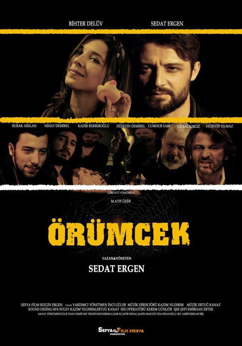 Örümcek (2017) poster