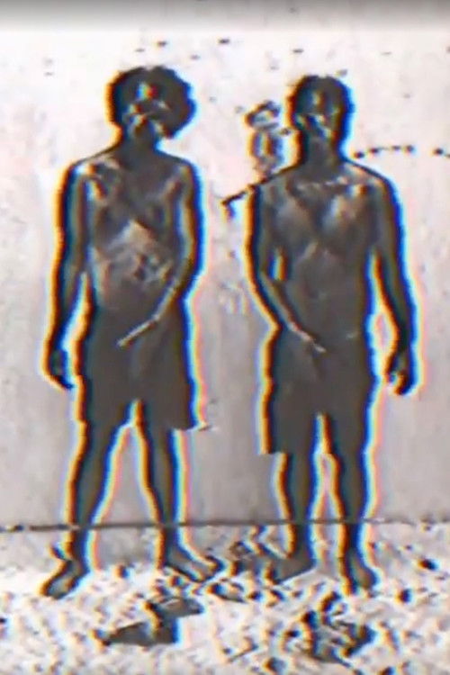 Fook Fook Boys (2017) poster