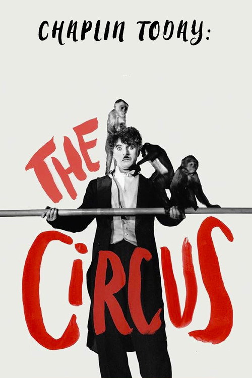 Chaplin Today: The Circus (2003) poster