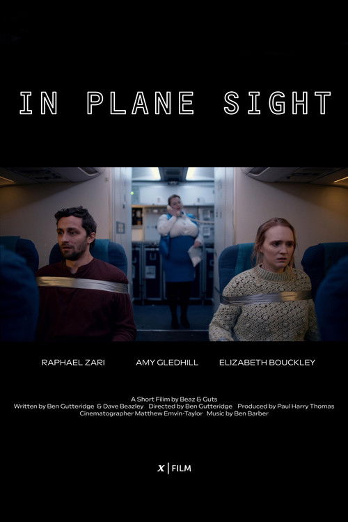 In Plane Sight (2023) poster
