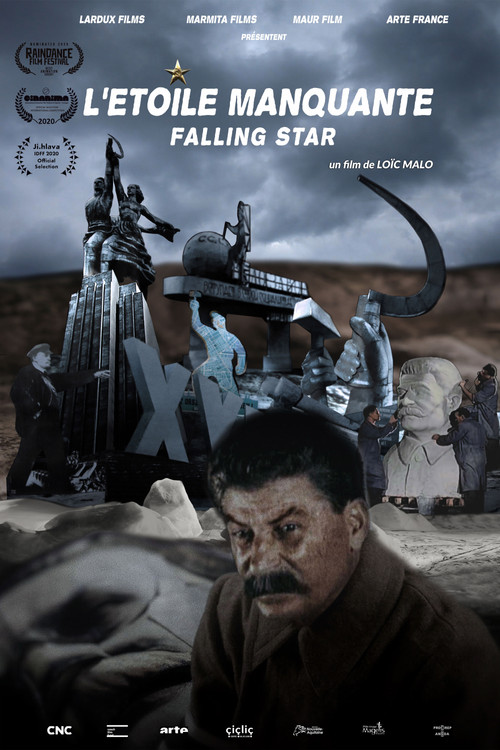 The Falling Star (2019) poster