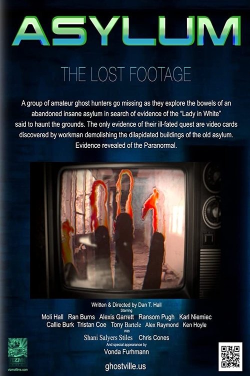 Asylum: the Lost Footage (2013) poster