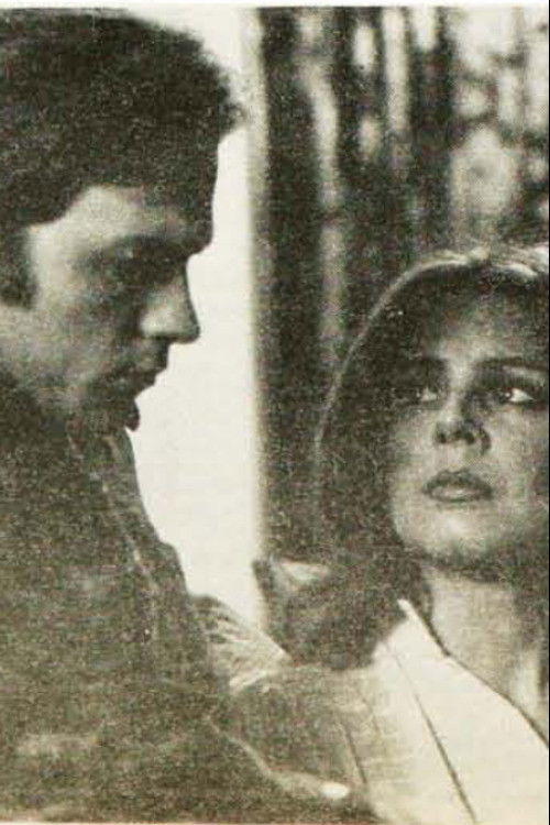 Aerial View (1979) poster