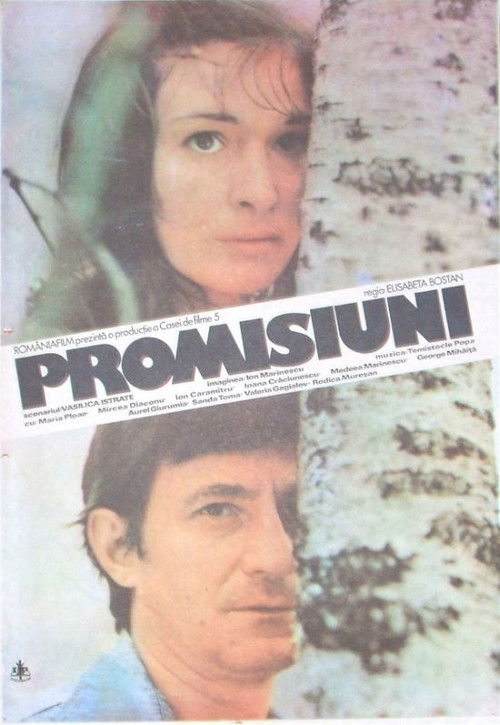 Promisses (1985) poster
