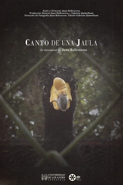 Canto de una jaula (2022) poster