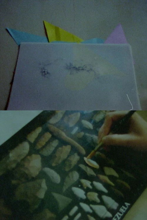 Levantamiento de una isla (2017) poster