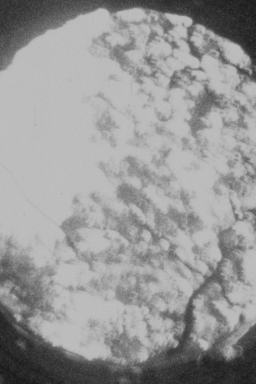 The Initiation Well (2020) poster