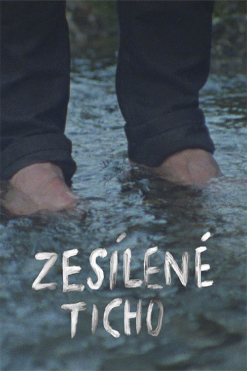 Amplified Silence (2021) poster