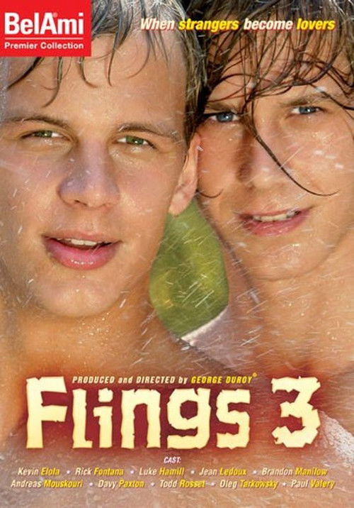 Flings 3 (2007) poster
