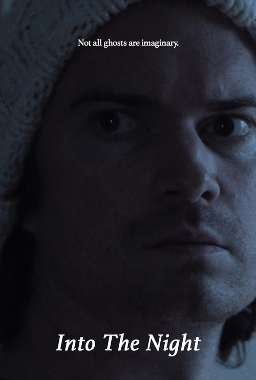 Into The Night poster