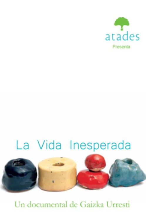 La vida inesperada (2012) poster