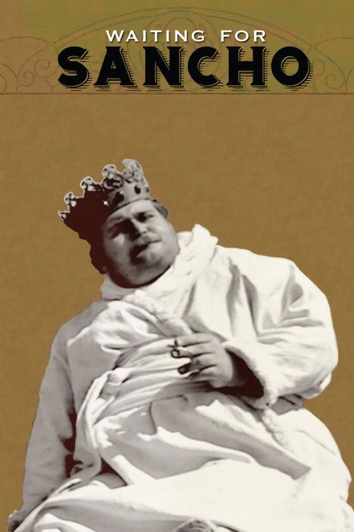 Waiting for Sancho (2008) poster