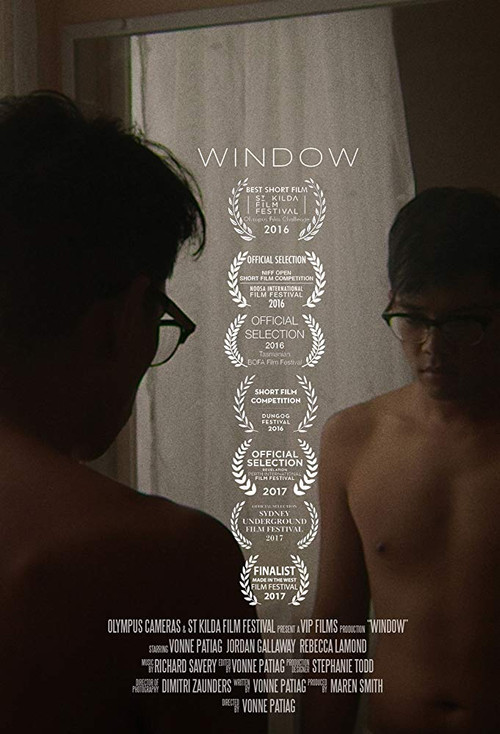Window (2016) poster