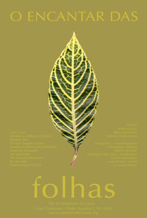 O Encantar das Folhas (2024) poster