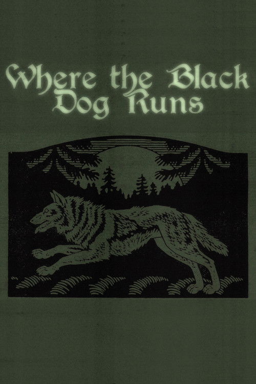 Where the Black Dog Runs poster