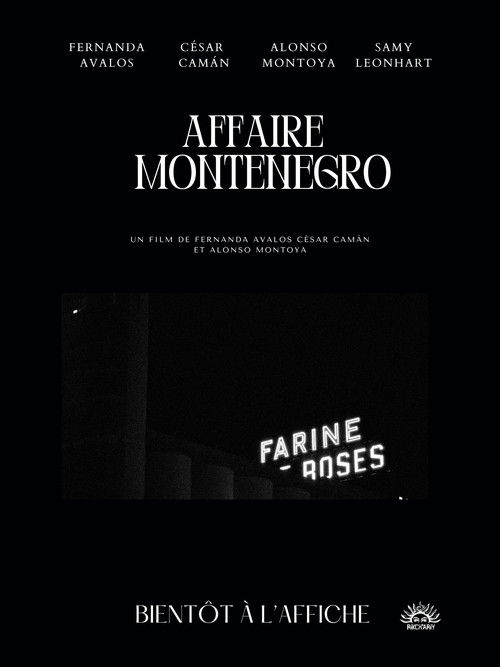 Affaire Montenegro poster