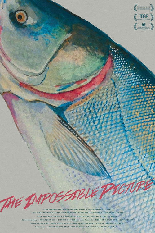 The Impossible Picture (2016) poster