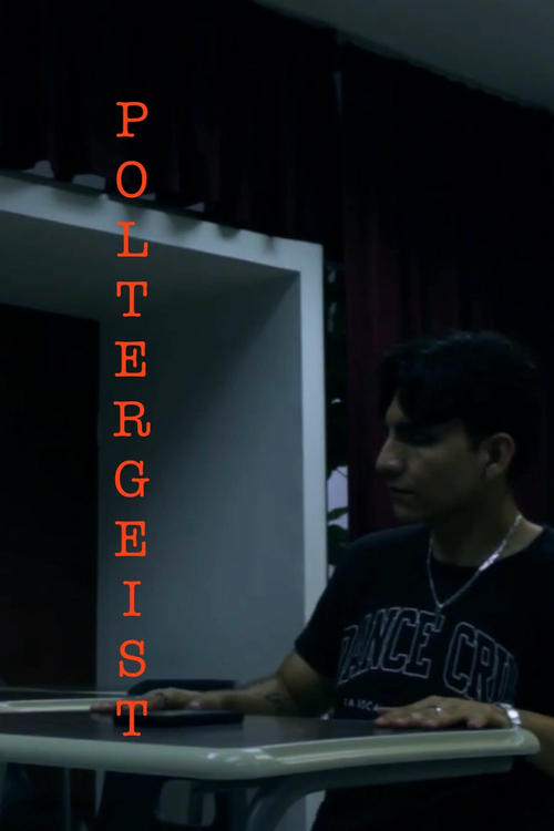 Poltergeist (2024) poster