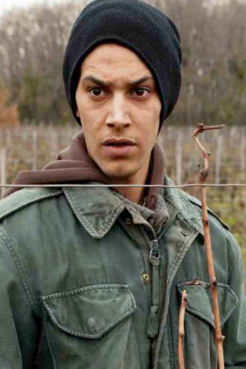 Amsterdam (2010) poster