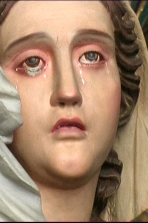 Je flotterai sans envie (2008) poster