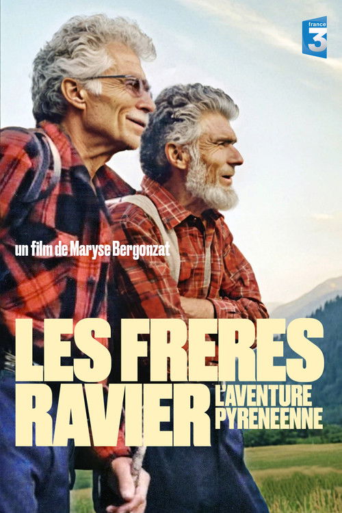 The Ravier Brothers - The Pyrenees Adventure (2008) poster
