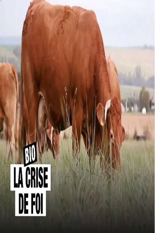 Bio, la crise de foi (2024) poster