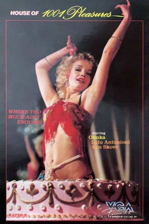 La Maison des milles et un plaisirs (1984) poster