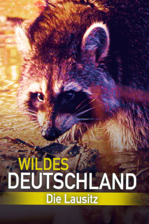 Wildes Deutschland: Die Lausitz (2013) poster