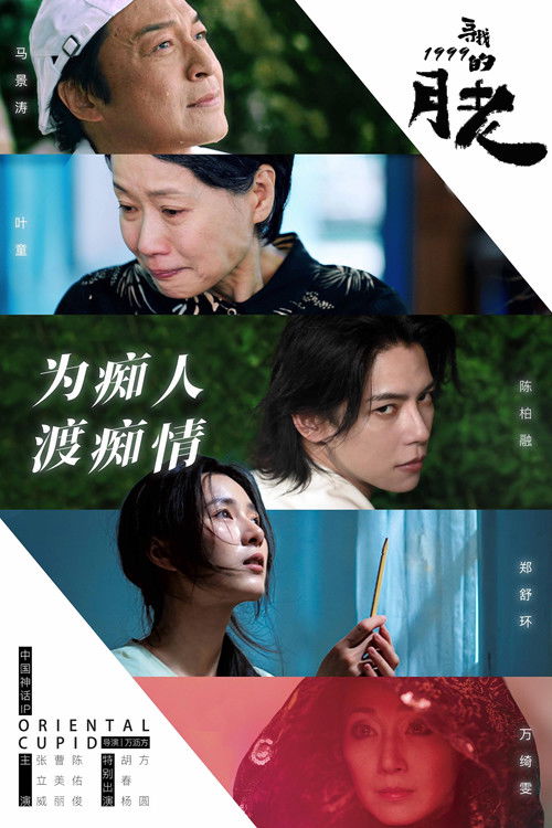 寻找1999的月老 (2025) poster