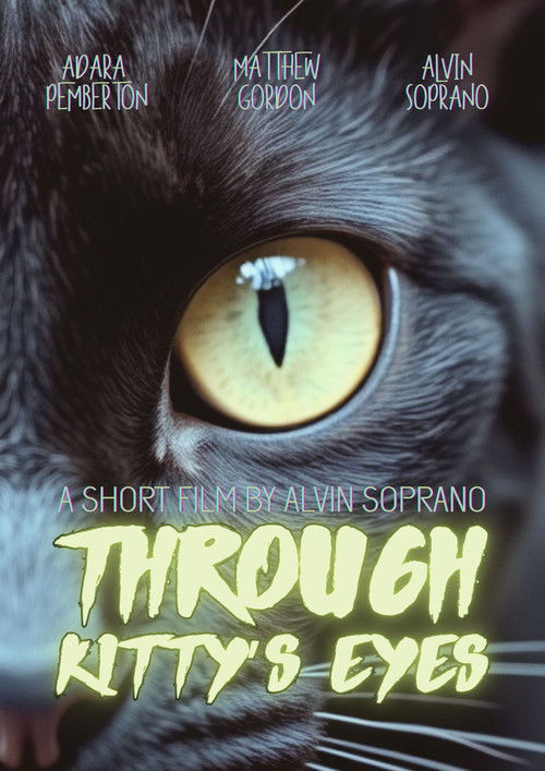 Through Kitty’s Eyes (2013) poster