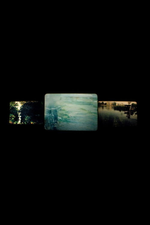 Bodies of Water in Berlin (2023) poster