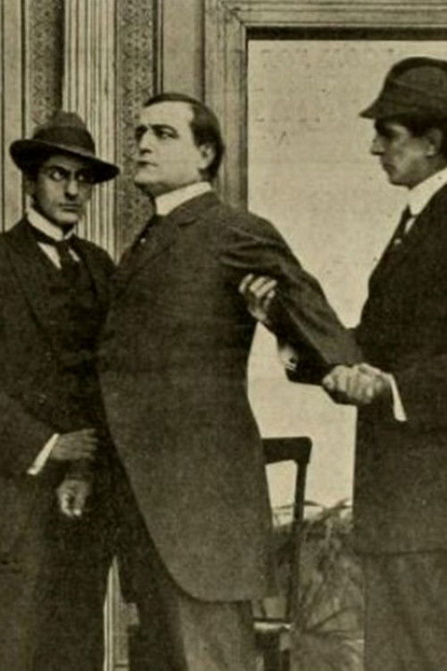 Alexia's Strategy (1913) poster