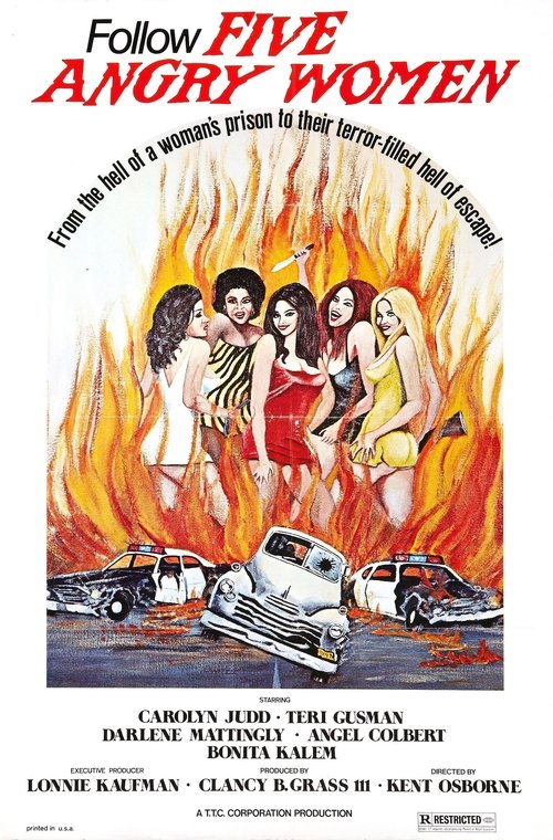 Women Unchained (1974) poster