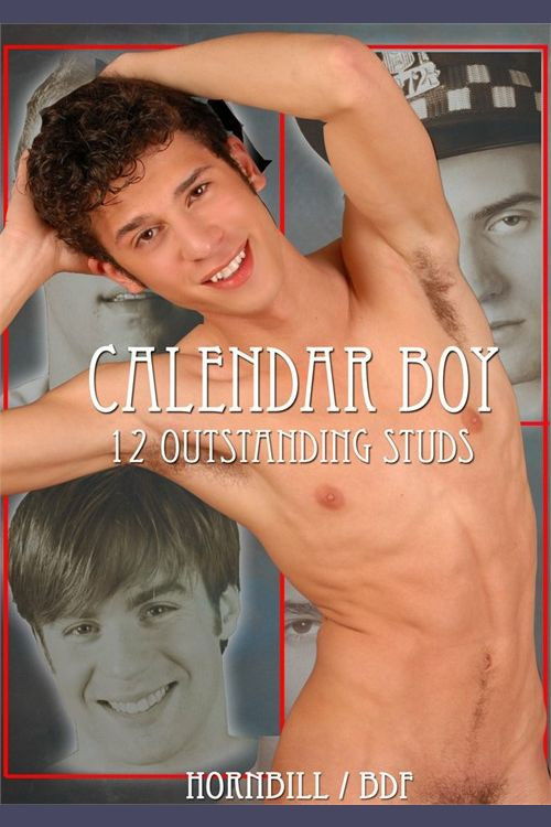 Calendar Boy (2010) poster