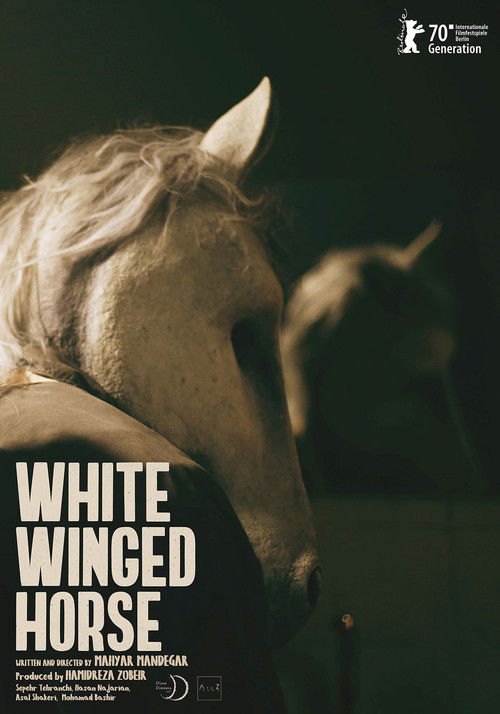 White Winged Horse (2020) poster