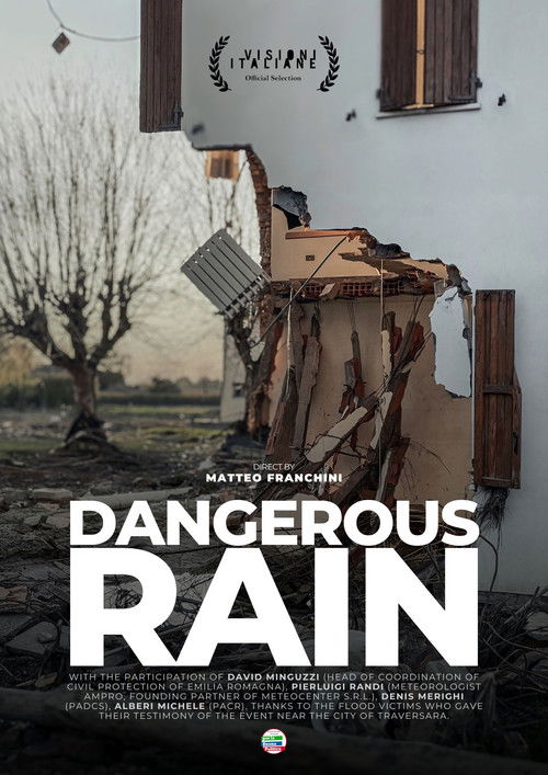 Dangerous Rain (2025) poster