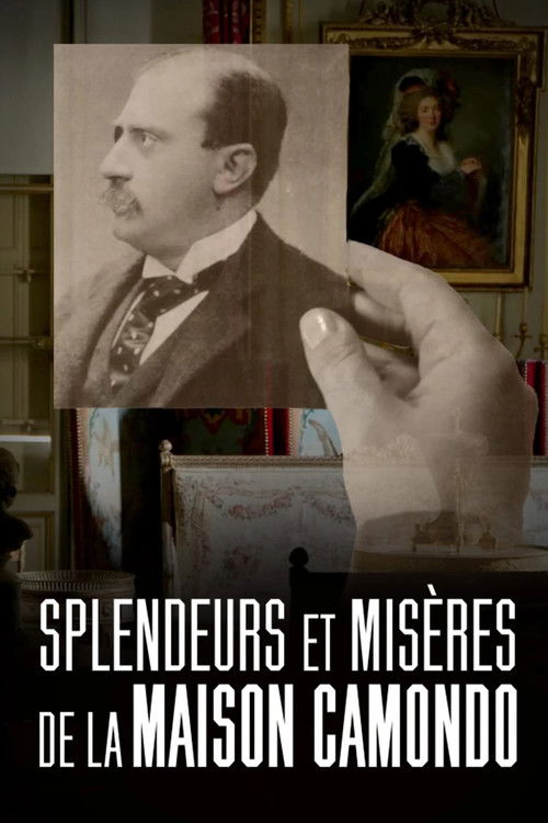 Splendeurs et misères de la maison Camondo (2025) poster