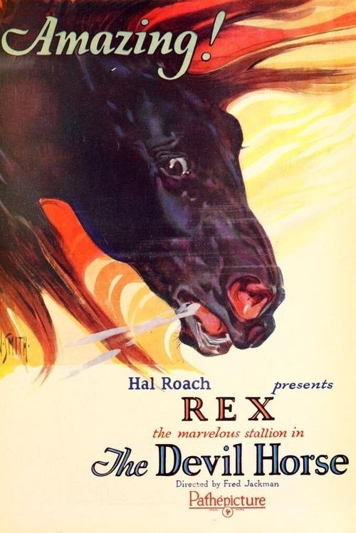 Rex the Devil Horse (1926) poster