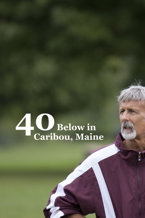 40 Below in Caribou, Maine (2025) poster