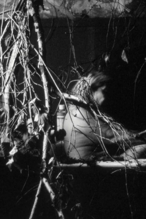 Days of doubt (2017) poster