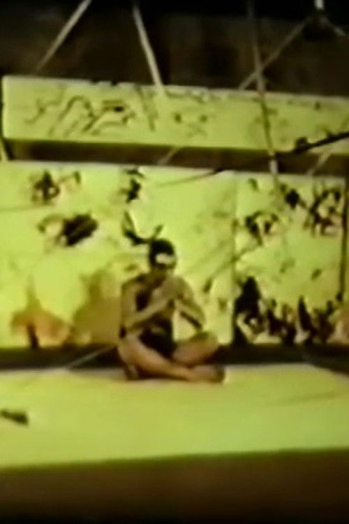 The Girl and Buda (1984) poster