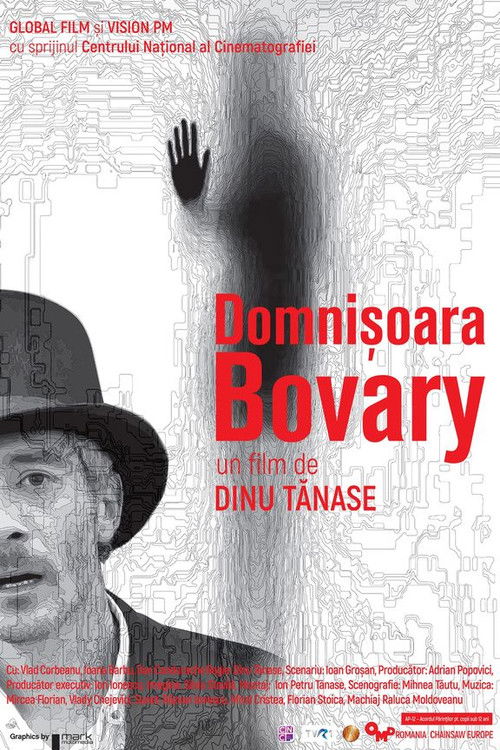 Domnișoara Bovary (2021) poster