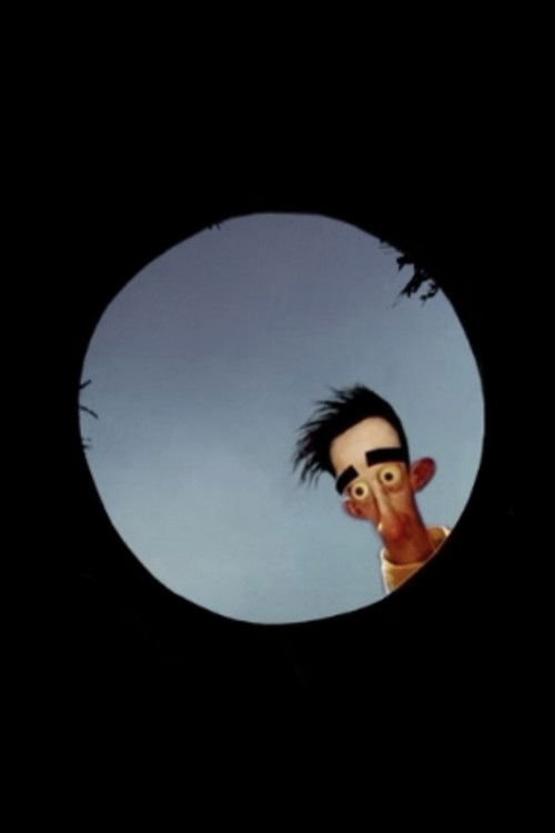 Omar's Mother poster