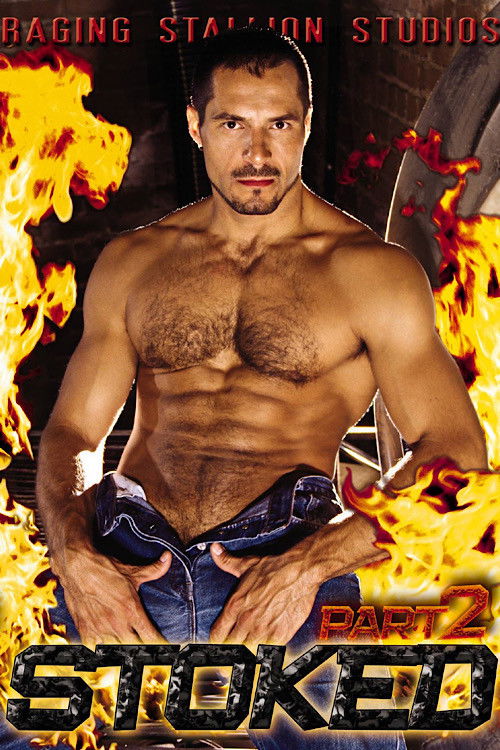 Stoked: Part 2 (2004) poster