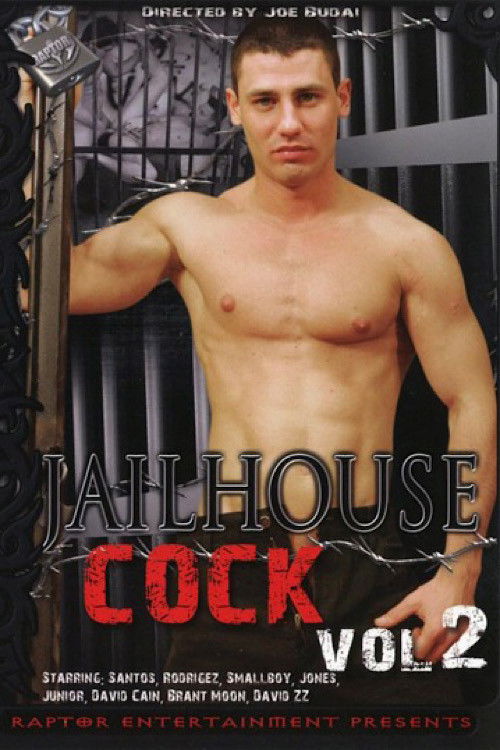 Jailhouse Cock 2 (2011) poster