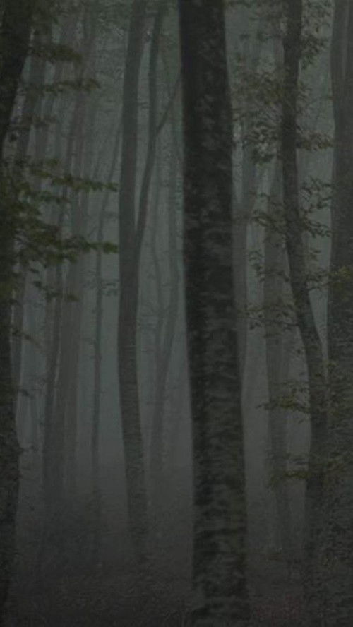 Refuge II: The Ice Path (2018) poster