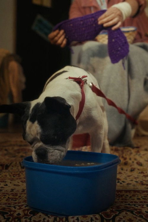 BIYUYA (2025) poster