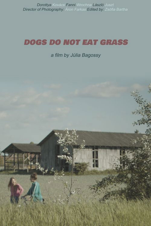 Dogs Do Not Eat Grass (2022) poster