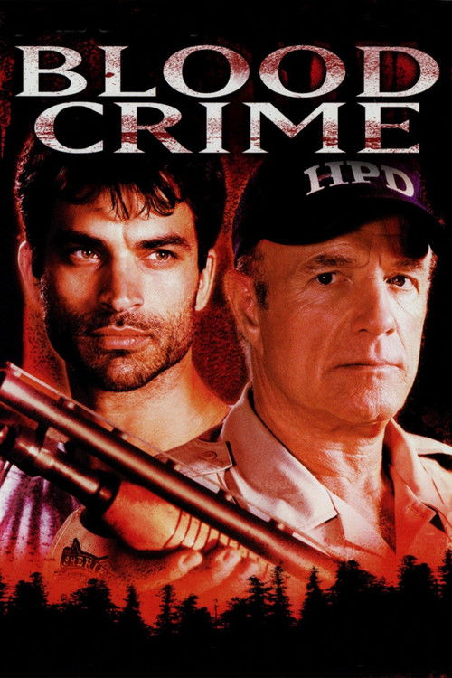 Kasabanın Gizemi (2002) poster