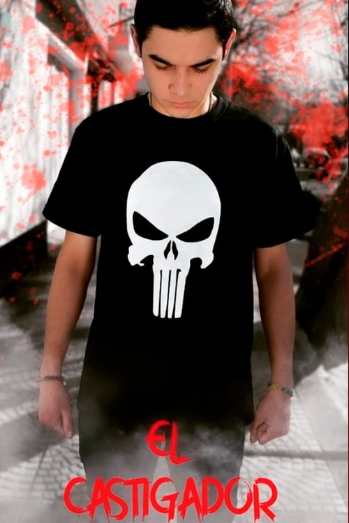 The Punisher (2020) poster